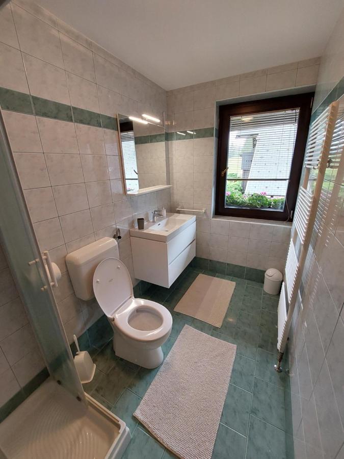 Apartmaji Vesna Бохинь Экстерьер фото